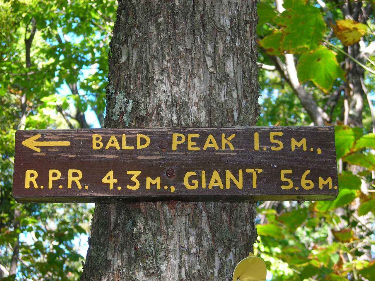 Photo représentant 106 Bald Peak.