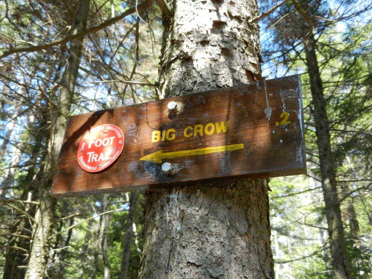Photo représentant 111 Mont Big Crow.