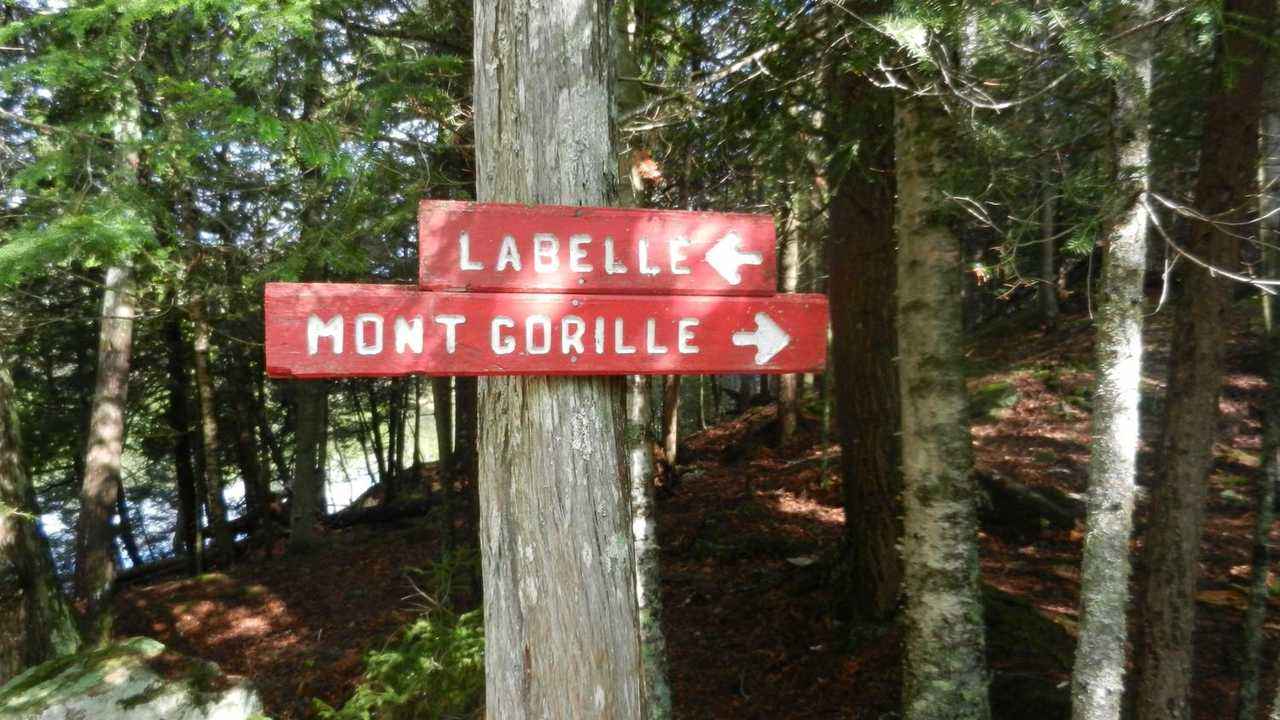 Photo représentant Mont Gorille (via Cap 360).
